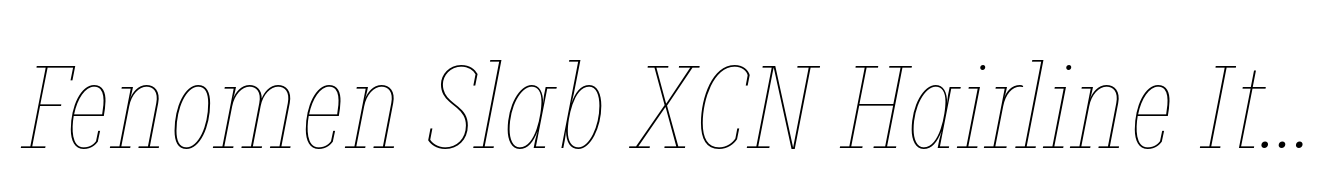 Fenomen Slab XCN Hairline Italic